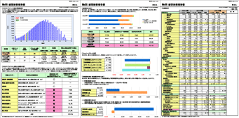 McSS 経営診断報告書