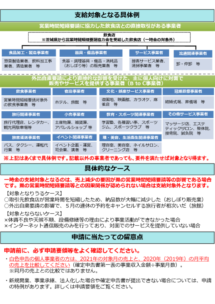 01_一時金チラシ-2のサムネイル