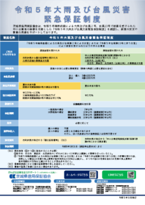 チラシ（差し替え）のサムネイル